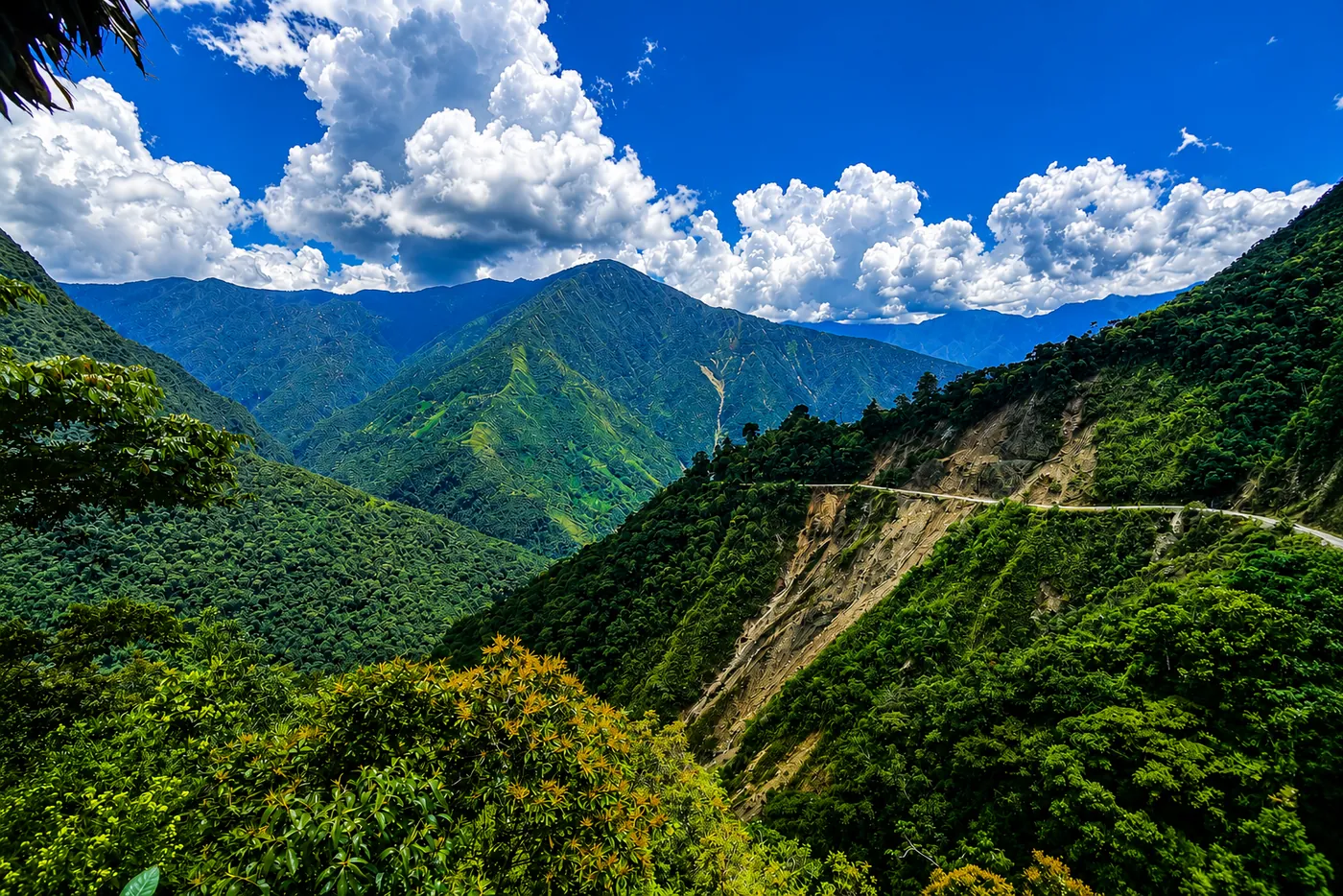 Serie III: Norte y Yungas, Bolivia